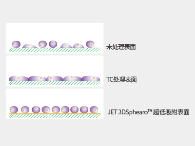 超低吸附表面具有共價(jià)結(jié)合的水凝膠層，具有極強(qiáng)的抗蛋白吸附性和抗細(xì)胞貼壁性，可有效抑制細(xì)胞附著