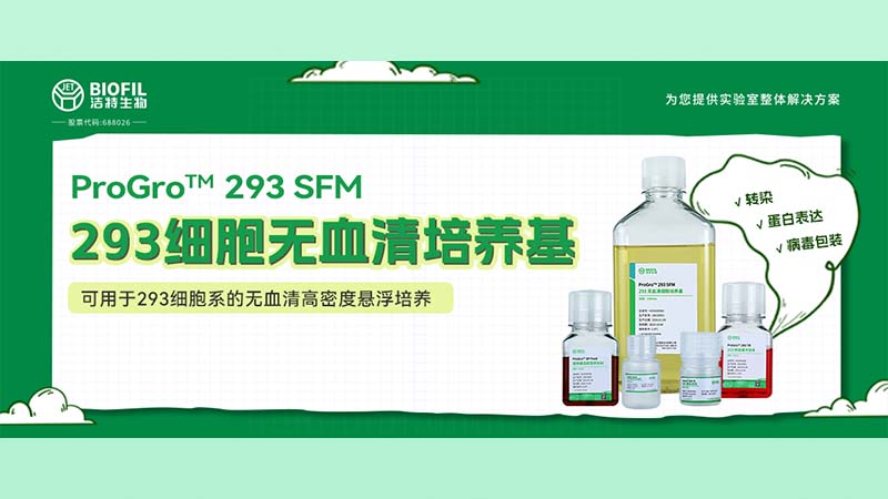 新品上線(xiàn) | 不會(huì)還有人養(yǎng)不好293細(xì)胞吧？！